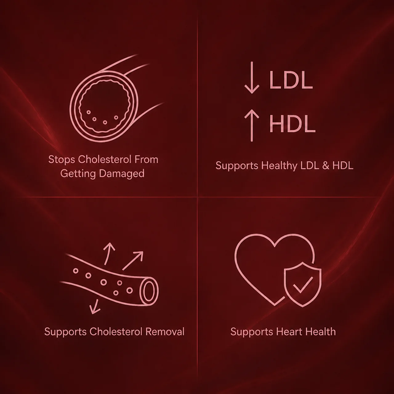 Supports healthy LDL and HDL