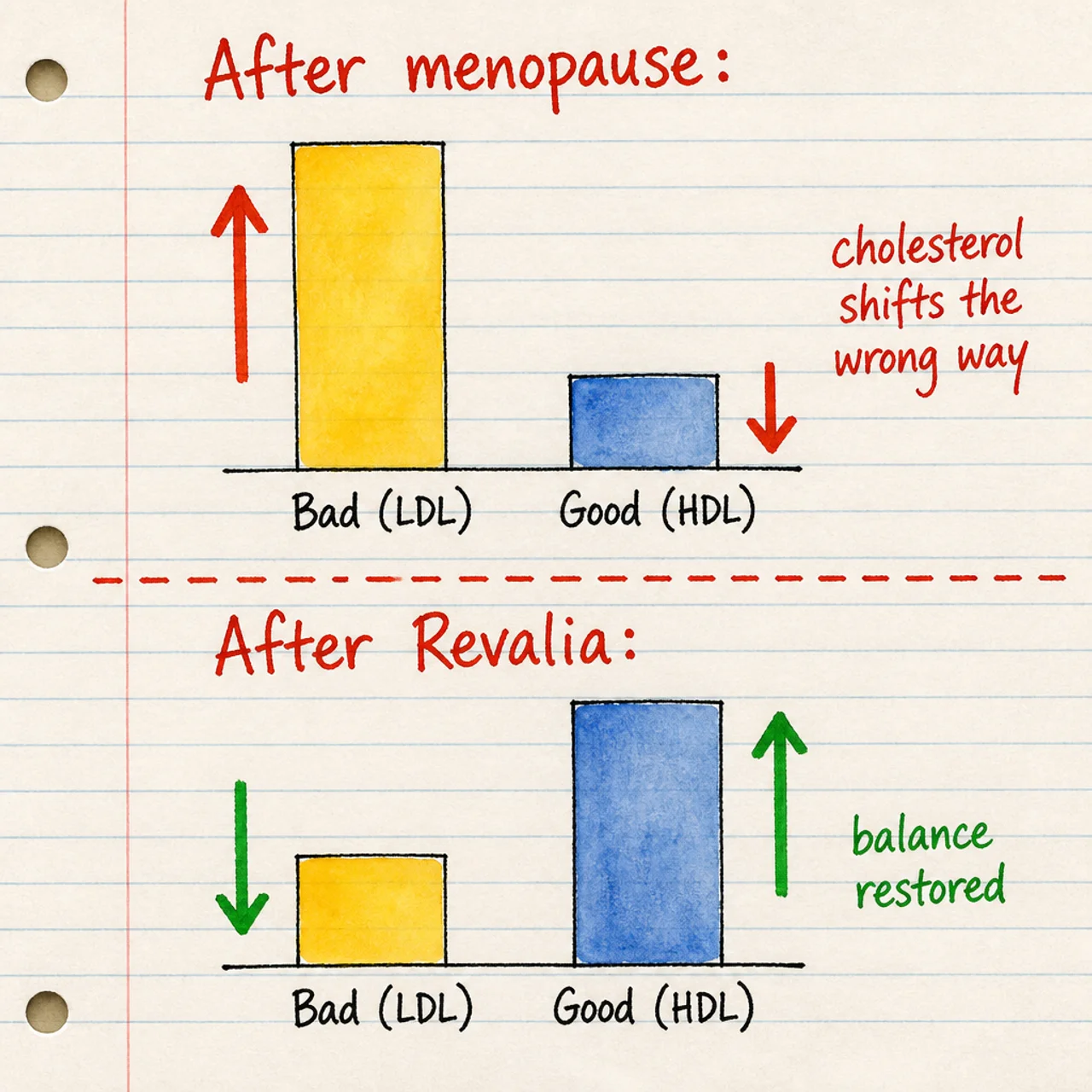 After menopause cholesterol shifts the wrong way; after Revalia balance restored